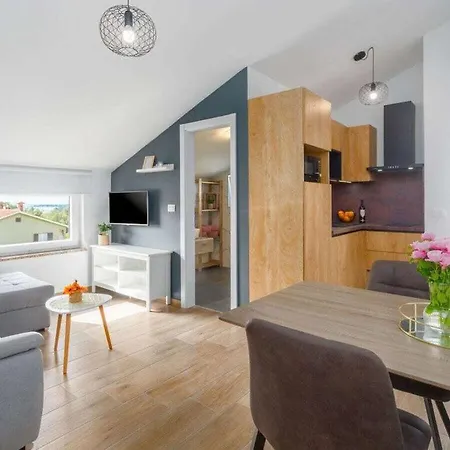 Ferienhaus Premium Radovan